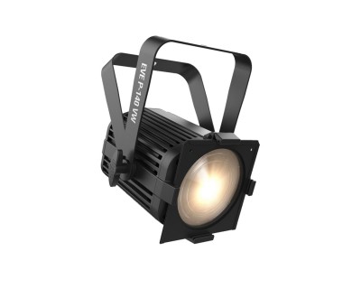 EVE P-140 VW Robust Variable White Wash Light with 2 Lenses