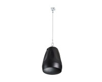 Cloud Contractor CVS-P42TB 4.5 2-Way Pendant Speaker 40W 8Ω or 20W 100V Black - Image 1