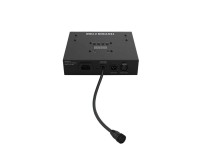 CHAUVET DJ Festoon 2 RGB 20-Lamp Decor String Lighting System IP54 - Image 4