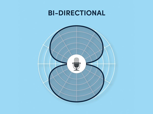 Bi-Directional Polar Pattern Symbol