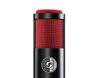 Shure KSM313/NE Bidirectional Dual-Voice Ribbon Microphone - Image 2