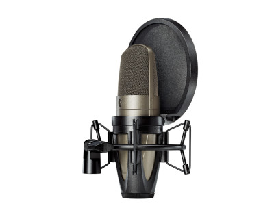 KSM42/SG Cardioid Condenser Large Dual-Diaphragm Microphone