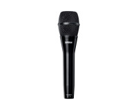 Shure KSM9HS Hypercardioid/Subcardioid Condenser Microphone Black - Image 1