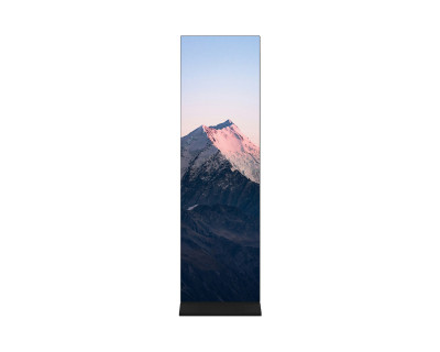Theatrixx Totem 2.5mm LED Digital Poster 596x1964mm