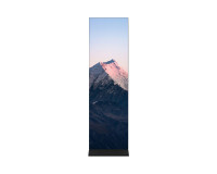 Theatrixx Theatrixx Totem 2.5mm LED Digital Poster 596x1964mm - Image 1